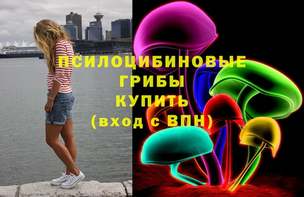 ешки Балахна
