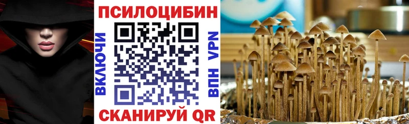 где купить   Лебедянь  Галлюциногенные грибы Magic Shrooms 