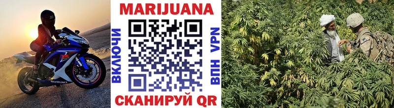 где найти Лебедянь Канабис ГИДРОПОН